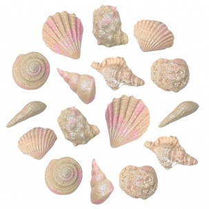 Conchas p Cód.457 (Pacote c/ 12 pçs. Medidas 2cm x 2cm) Conchas p Cód.457 (Pacote c/ 12 pçs. Medidas 2cm x 2cm)