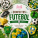 Confeitos Futebol (Todos)
