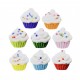 Cupcakes Colors Cód. 296 (Pct. c/ 8 pçs. Med. 1,5cm x 1,5cm)