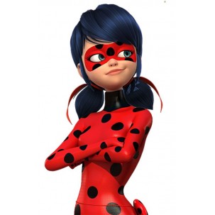 Papel de Arroz  LADYBUG (LBM11 )  TAM.A4